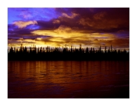 Szmal // Lappish Impressione (08)