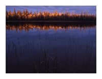 Szmal // Naturalis Symmetriam (04)