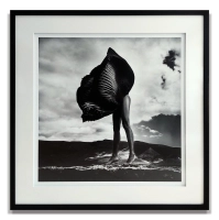 Szymon Brodziak // Flower Power / 125x125cm / Oprawa Premium