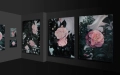 Roszczak_Botanical_Garden _series_2012.jpg