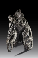 Robert Sobociński / Oceania / rzeźba, brąz / 2019 / w-109 cm /