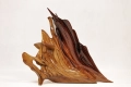 Frackowiak_Ryby01_korzen_debowy_55x95cm.jpg