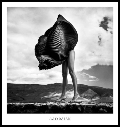 Szymon Brodziak // POSTER #06 / 78 x 74 cm /