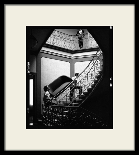 brodziak_schodyt_62x54cm.jpg