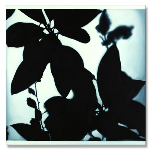 Roszczak_Black_Leafs_140x140_2009.jpg