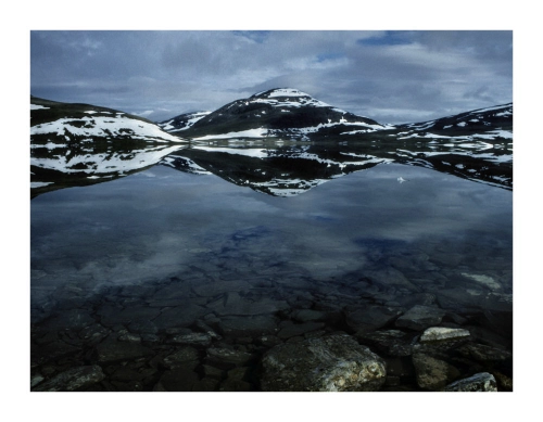Szmal_Naturalis_Symmetriam(01)_fotografia.jpg