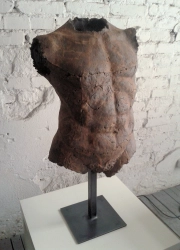 Ograbisz // TORSO MALE