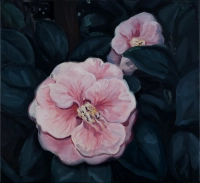 Roszczak // z serii Botanical Garden Camelia / 2012