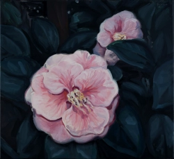 Roszczak // z serii Botanical Garden Camelia / 2012